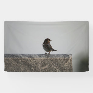 3'x 5'-Banner Banner