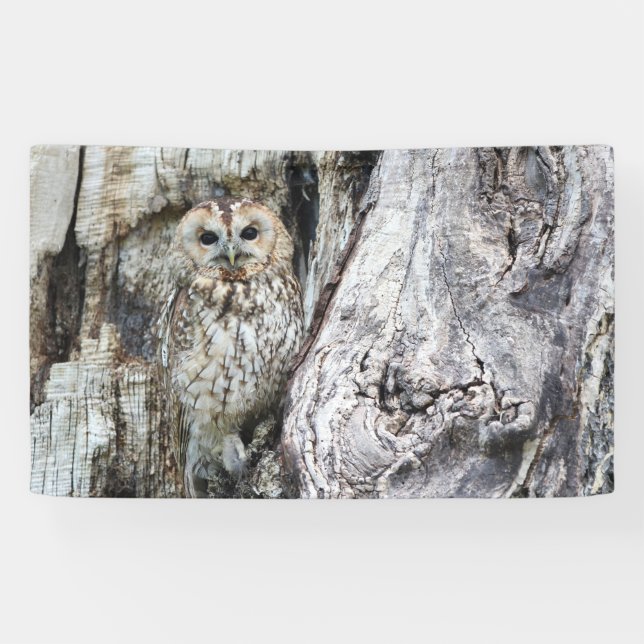 3'x 5'-Banner Banner (Horizontal)