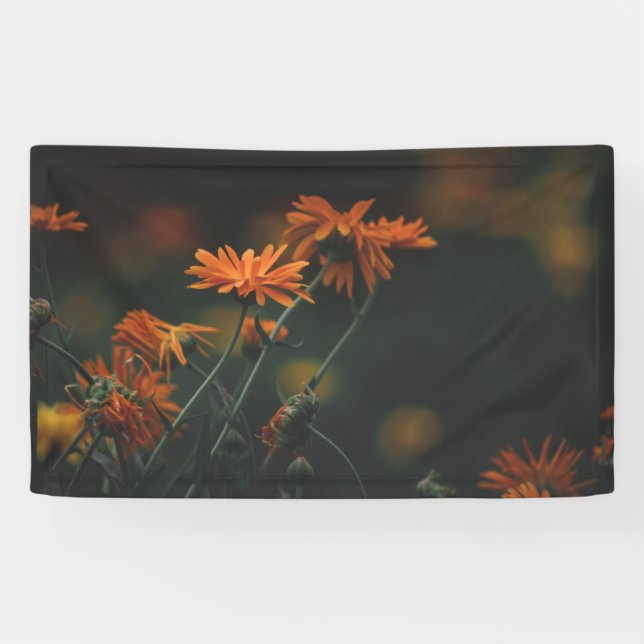 3'x 5'-Banner Banner (Horizontal)