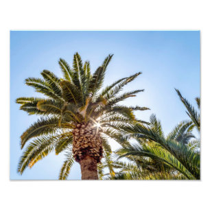4024-Palmenbaum mit Sonnenaufgang Fotodruck