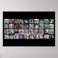 40 FotoCollage - 4 Reihen 10 Spalten - Weißer Text