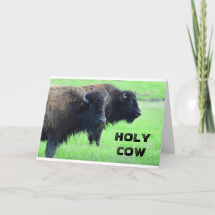 ****40. GEBURTSTAG*** AUS DEM KOPFBUFFALO KARTE