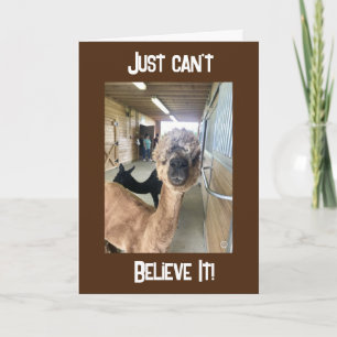 "40. GEBURTSTAG??? KANN ES KAUM GLAUBEN Karte