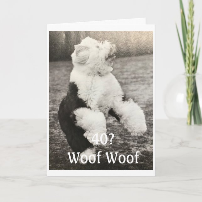 ***40. GEBURTSTAG**** mit EINIGEN SPÄSSEN Karte (Vorderseite)