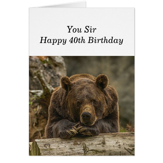 40. Über dem Hügel ernsthaft aussehender Grizzly B (Vorne)