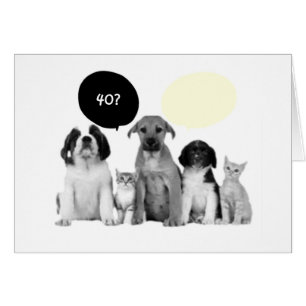 "40." WOOF WÄRE NIE GEGANGEN HABEN