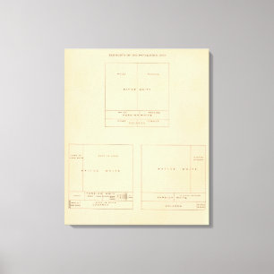 41 Bevölkerungsgruppen 1900 Leinwanddruck