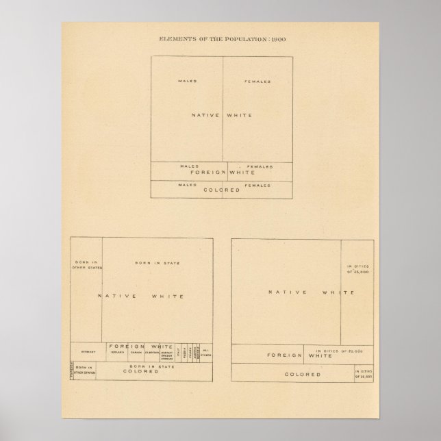 41 Bevölkerungsgruppen 1900 Poster (Vorne)