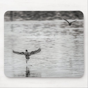 4297-Kormorant Abfahrt aus dem Teich Mousepad