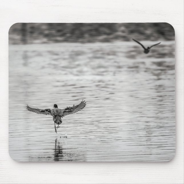 4297-Kormorant Abfahrt aus dem Teich Mousepad (Vorne)