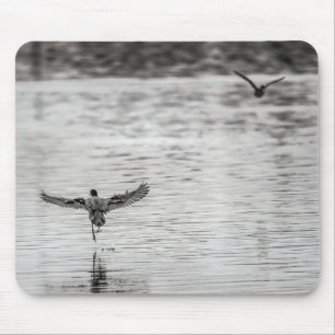 4297-Kormorant Abfahrt aus dem Teich Mousepad