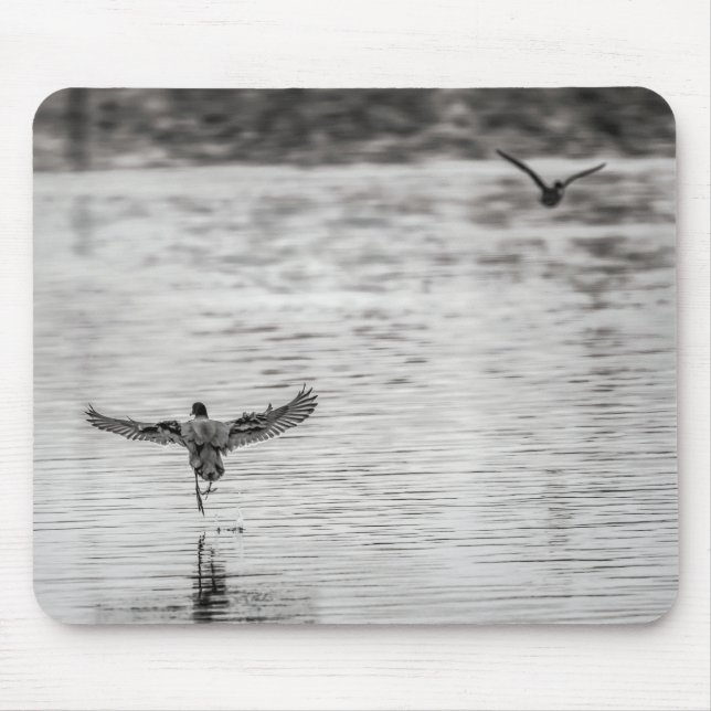 4297-Kormorant Abfahrt aus dem Teich Mousepad (Vorne)