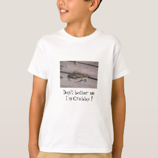 433571791111,1, stören mich nicht, den ich T-Shirt