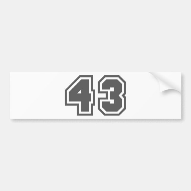 43 AUTOAUFKLEBER (Vorne)
