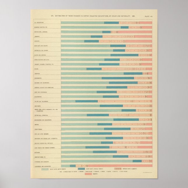 43 Beruf nach Farbe, Staatsangehörigkeit 1890 Poster (Vorne)