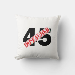 45 Eingeweiht Kissen