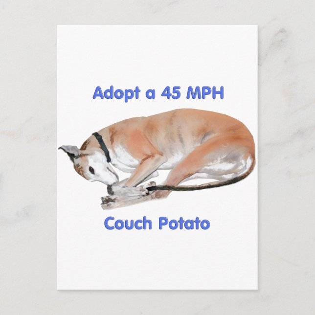 45 mph Couch Potato Postkarte (Vorderseite)