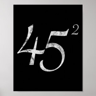 45 Squared Präsident Trump 2020 Second Term Gesche Poster