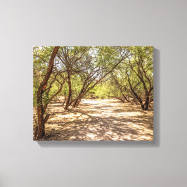 4745-Schattenbäume in der Wüste Leinwanddruck