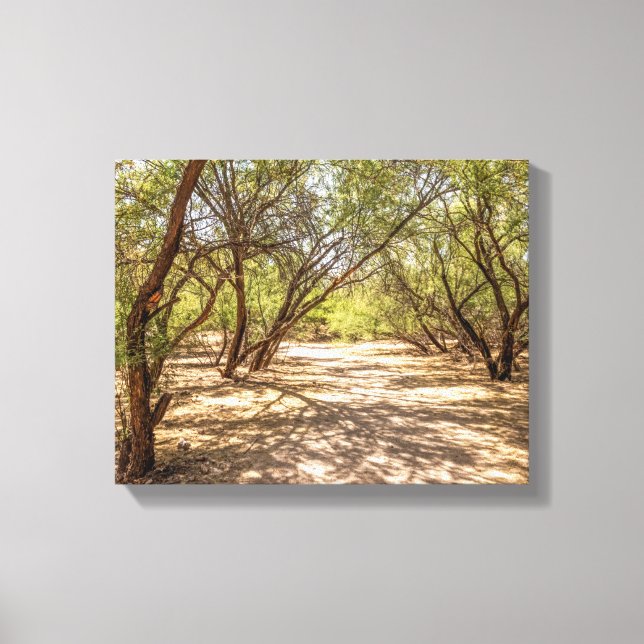 4745-Schattenbäume in der Wüste Leinwanddruck (Vorderseite)