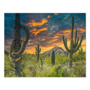 4792-2-Wüste Landschaft bei Sunset Fotodruck