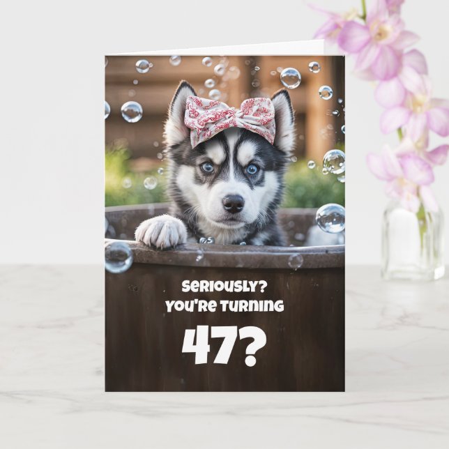 47th Birthday Cute and Funny Husky Dog in Tub Karte (Orchidee)