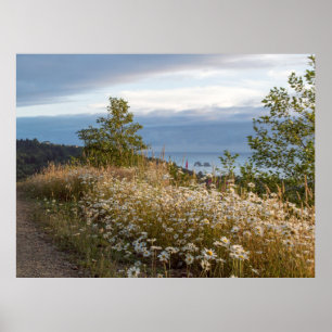 48" x 36", Twin Rocks Summer View bei Dämmerung Poster