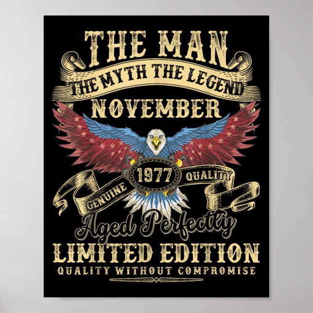 48th Birthday November 1977 Men Funny 48 Years Old Poster (Vorne)