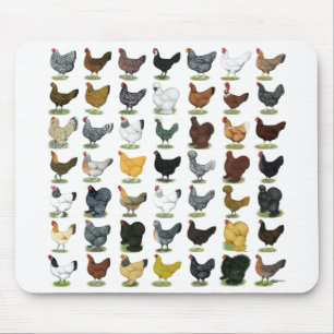 49 Huhn-Hennen Mousepad