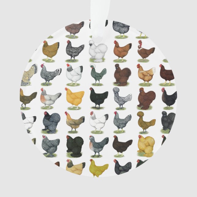 49 Huhn-Hennen Ornament (Vorderseite)