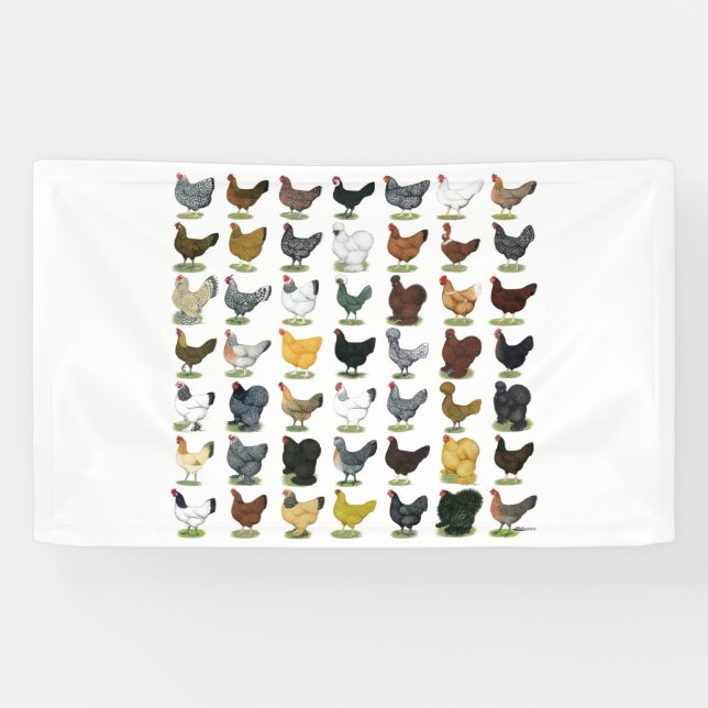 49 Hühnerhennen Banner (Horizontal)