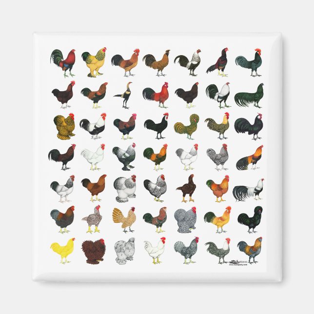 49 Runder Magnet (Vorne)