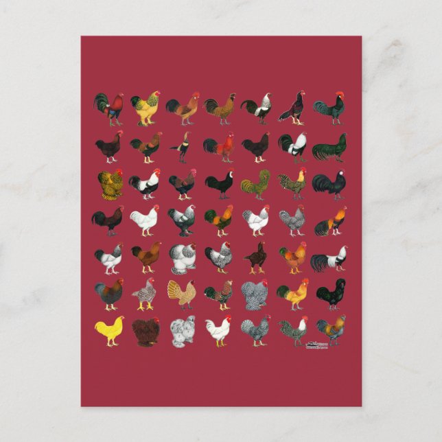 49 Runder Postkarte (Vorderseite)