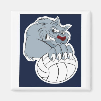 49er | Calamita Magnet