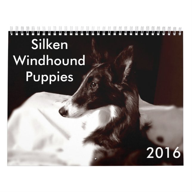 4 2016 seidener Windhound Welpen-Kalender Kalender (Titelbild)