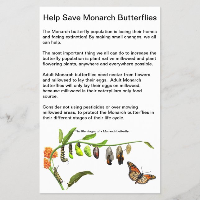 4,5" x 5,6" Flyer-Papier Flyer (Vorne)