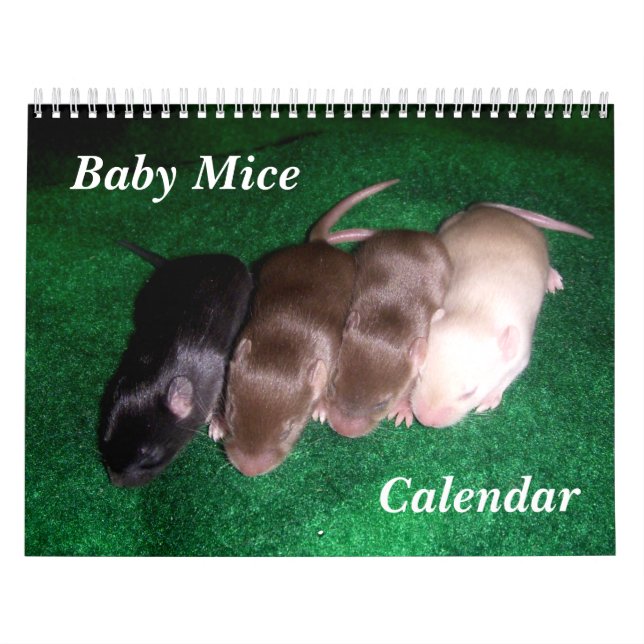 4 Baby-Mäusewachsende hohe Kalender (Titelbild)