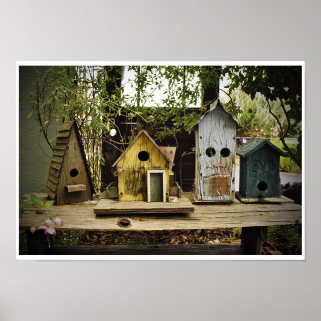 4 Bird Houses Poster (Vorne)