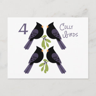 4 Colly Birds Postkarte