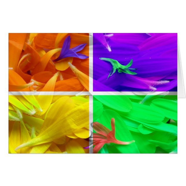 4 Florals (Vorderseite (Horizontal))