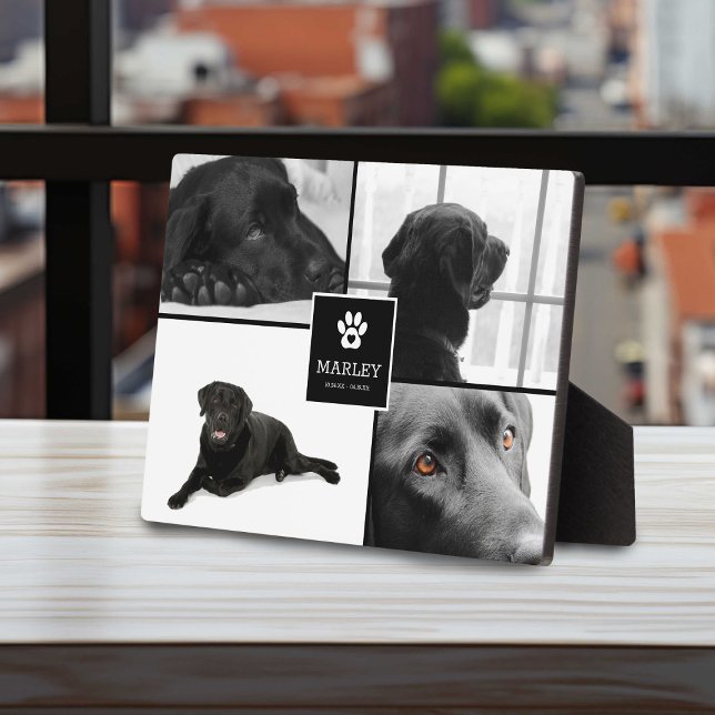 4 Foto Pet Memorial | Achtung Fotoplatte (Von Creator hochgeladen)