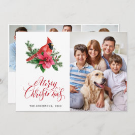 4 FOTO Poinsettia Roter Kardinal Weihnachtsgrüße Feiertagskarte