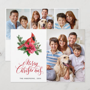 4 FOTO Poinsettia Roter Kardinal Weihnachtsgrüße Feiertagskarte