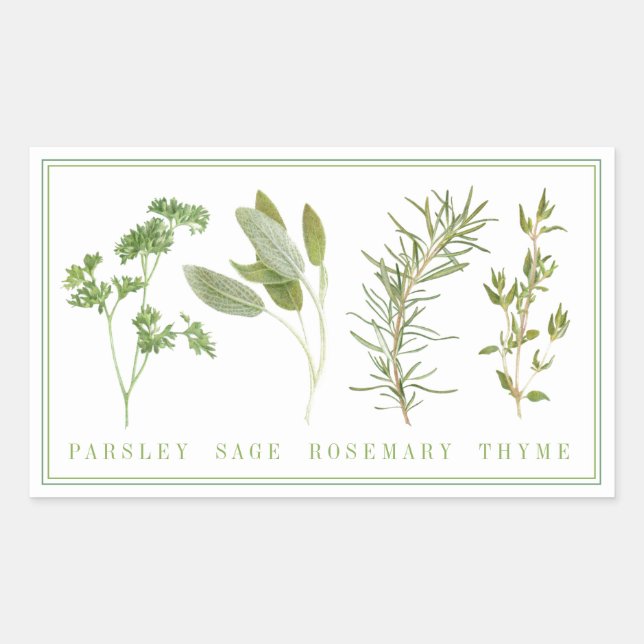 4 FRISCHE HERBS-Rectangle-Sticker Rechteckiger Aufkleber (Vorderseite)