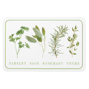 4 FRISCHES HERBS 4x6 Flexibles Magnet