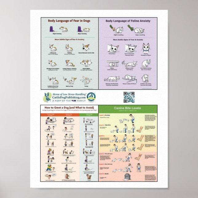 4 in 1 Poster (Vorne)