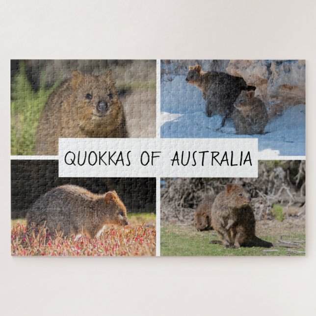 4-in-1 Quokka aus Australien Tier, 1014 Stück Puzzle (Horizontal)