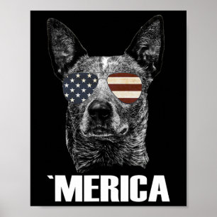 4. Juli Blue Heeler Hund Merica Patriotisch Usa-Fl Poster