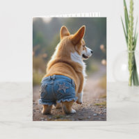 4. Juli Corgi Dog Wearing Blue Jean Shorts