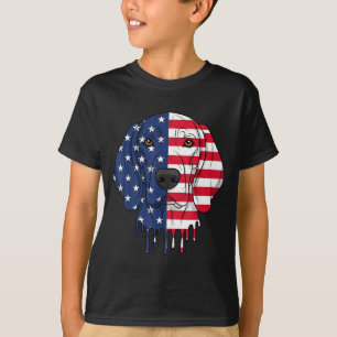 4. Juli Plott Hound Hund Aaamerikanische Flagge T-Shirt